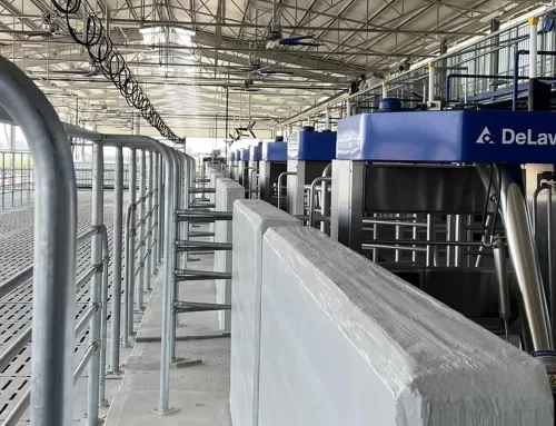 Mastrodomenico pioniere dell’innovazione