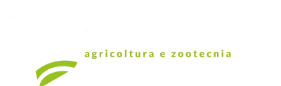Mastrodomenico Logo