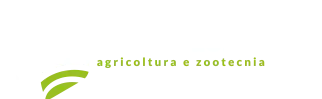 Mastrodomenico Logo