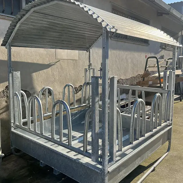 mastrodomenico foto 2