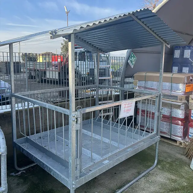 mastrodomenico foto 4